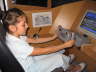Pilotinanwrterin Begm 